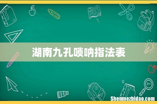 湖南九孔唢呐指法表
