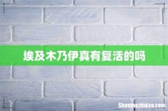 埃及木乃伊真有复活的吗
