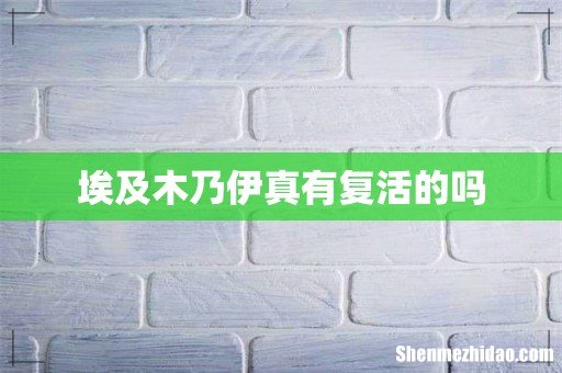 埃及木乃伊真有复活的吗