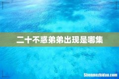 二十不惑弟弟出现是哪集
