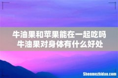 牛油果和苹果能在一起吃吗 牛油果对身体有什么好处