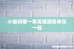 小爸妈哪一集高建跟简单在一起