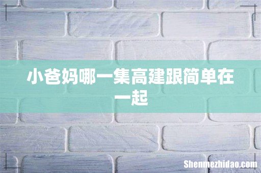 小爸妈哪一集高建跟简单在一起