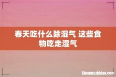 春天吃什么除湿气 这些食物吃走湿气