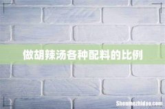 做胡辣汤各种配料的比例