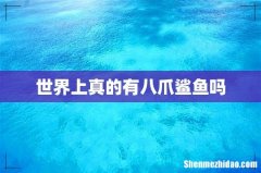 世界上真的有八爪鲨鱼吗
