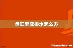 鱼缸里放墨水怎么办
