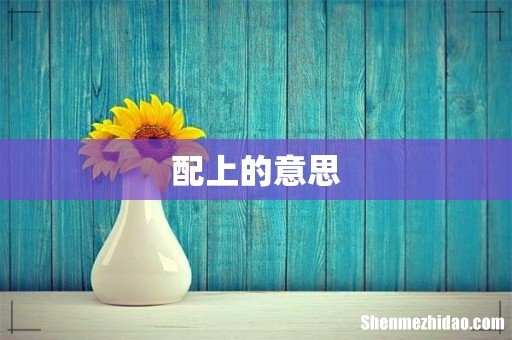 配上的意思