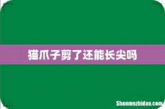 猫爪子剪了还能长尖吗