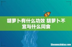胡萝卜有什么功效 胡萝卜不宜与什么同食