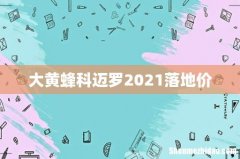 大黄蜂科迈罗2021落地价