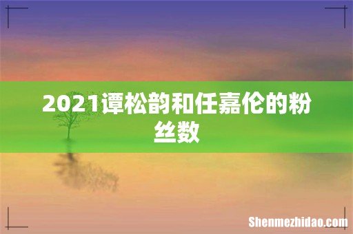 2021谭松韵和任嘉伦的粉丝数