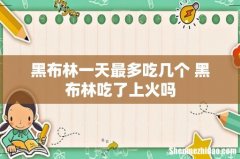 黑布林一天最多吃几个 黑布林吃了上火吗