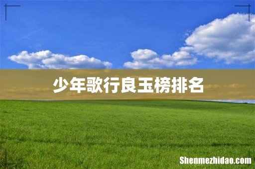 少年歌行良玉榜排名