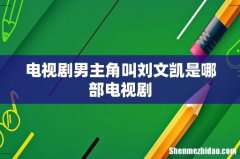 电视剧男主角叫刘文凯是哪部电视剧