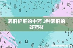 养肝护肝的中药 3种养肝的好药材