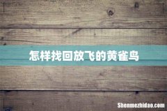 怎样找回放飞的黄雀鸟