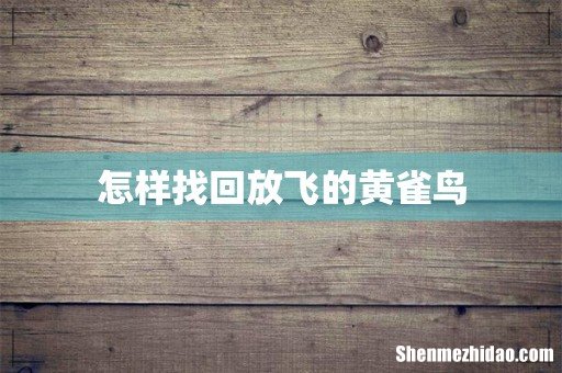 怎样找回放飞的黄雀鸟