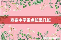 寿春中学重点班是几班