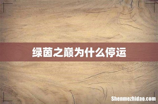 绿茵之巅为什么停运