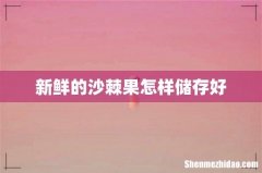 新鲜的沙棘果怎样储存好