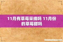 11月有草莓采摘吗 11月份的草莓甜吗