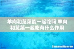羊肉和苋菜能一起吃吗 羊肉和苋菜一起吃有什么作用