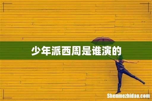 少年派西周是谁演的