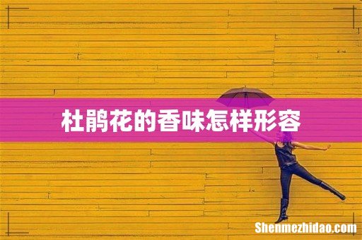 杜鹃花的香味怎样形容