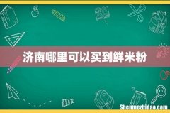济南哪里可以买到鲜米粉