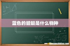 蓝色的蜻蜓是什么物种