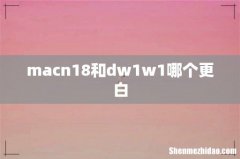 macn18和dw1w1哪个更白