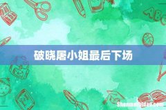 破晓屠小姐最后下场