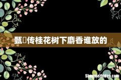 甄嬛传桂花树下麝香谁放的