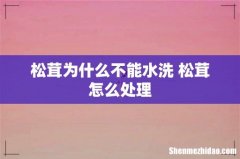 松茸为什么不能水洗 松茸怎么处理