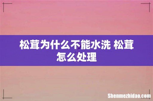松茸为什么不能水洗 松茸怎么处理