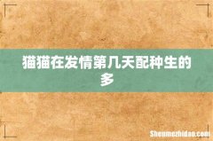 猫猫在发情第几天配种生的多
