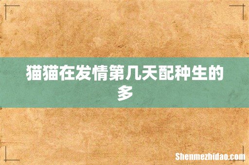 猫猫在发情第几天配种生的多
