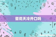 鳌花天冷开口吗
