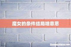 魔女的条件结局啥意思