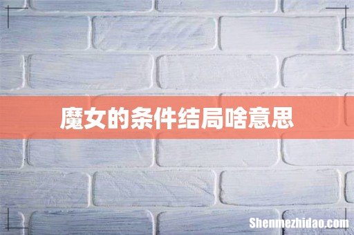 魔女的条件结局啥意思