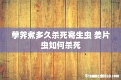 荸荠煮多久杀死寄生虫 姜片虫如何杀死