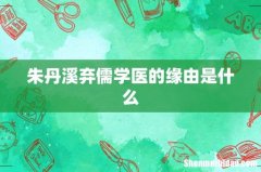朱丹溪弃儒学医的缘由是什么
