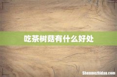 吃茶树菇有什么好处