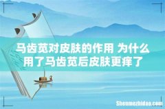 马齿苋对皮肤的作用 为什么用了马齿苋后皮肤更痒了
