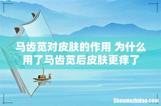 马齿苋对皮肤的作用 为什么用了马齿苋后皮肤更痒了