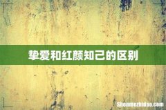 挚爱和红颜知己的区别