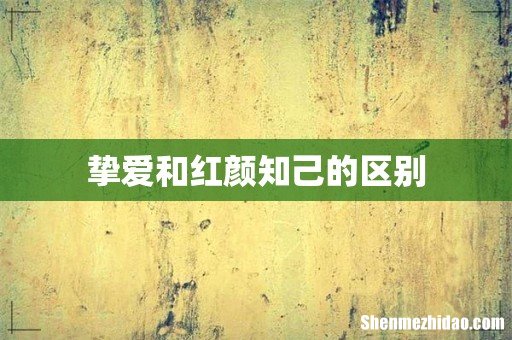 挚爱和红颜知己的区别