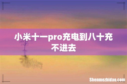 小米十一pro充电到八十充不进去