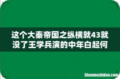 这个大秦帝国之纵横就43就没了王学兵演的中年白起何在央视主页不是还有张博演赢稷么